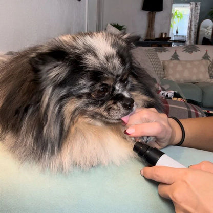 SilentPaws PRO